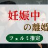 妊娠中の離婚率